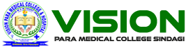 vision para Medical Logo